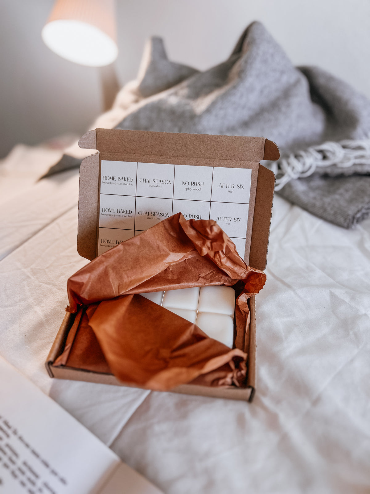Wax Melt - Discovery Box Back Home